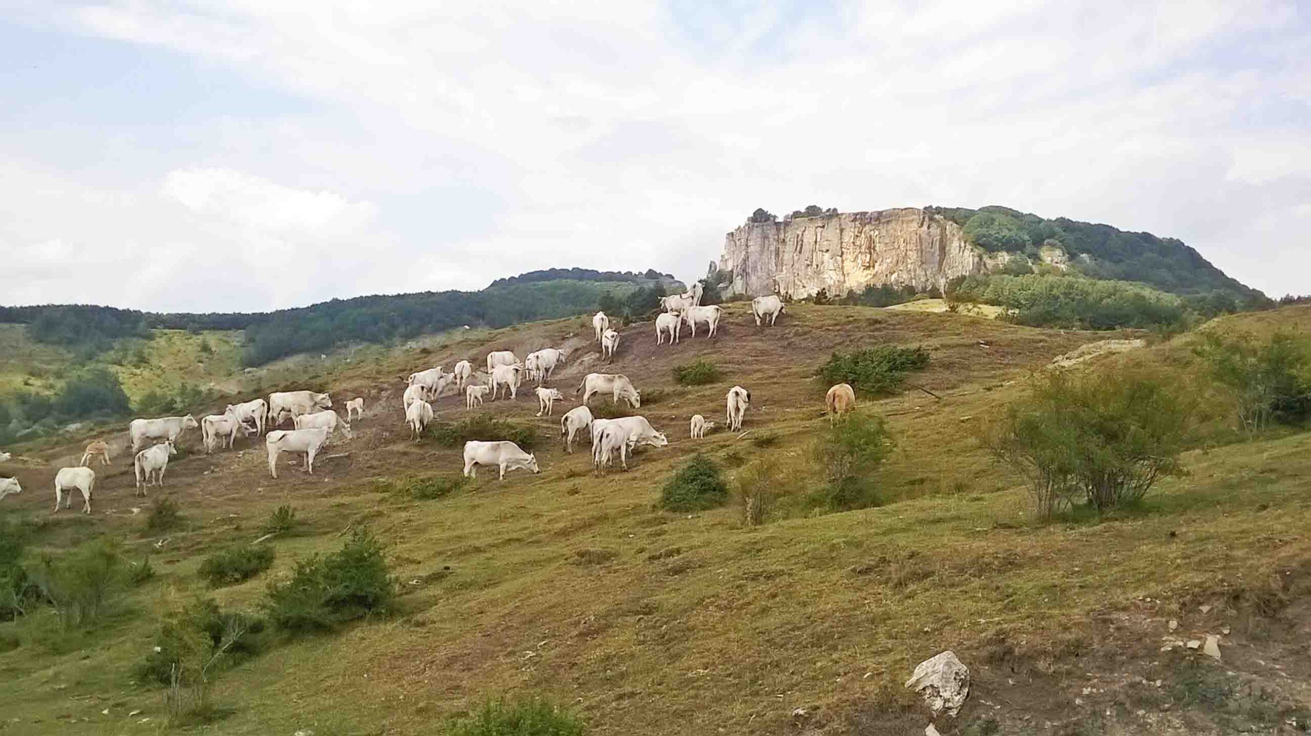 Il Sasso di Simone