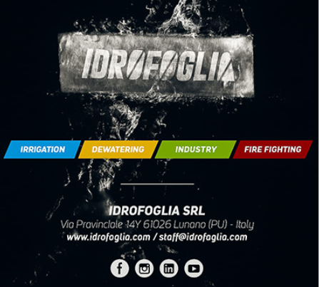 Idrofoglia